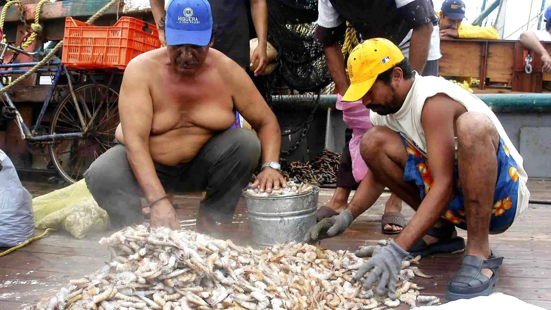 Pesca de camarón